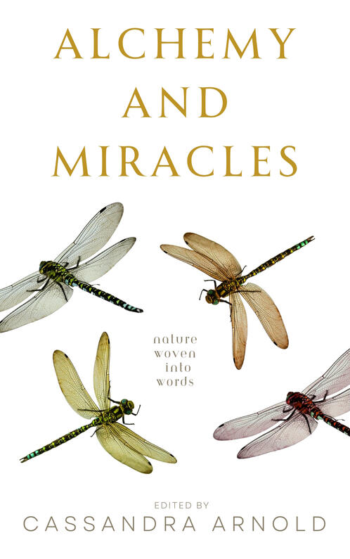 Untitled Alchemy and Miracles poetry anthology cover